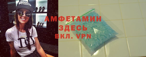шишки Белокуриха
