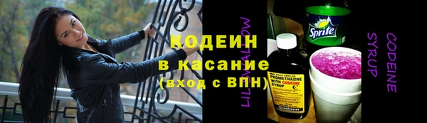 шишки Белокуриха