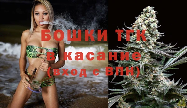 шишки Белокуриха