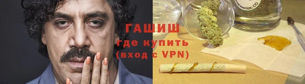 шишки Белокуриха