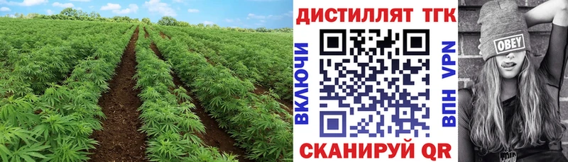 ТГК жижа  Волосово 