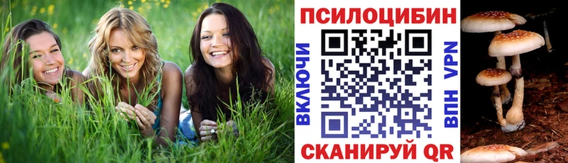 Галлюциногенные грибы мицелий  Волосово 